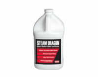 Steam Dragon